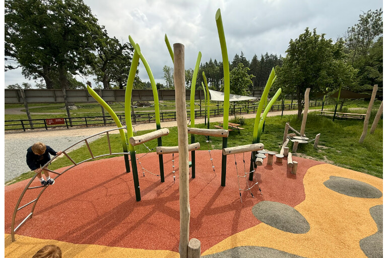 Foto af Konstrukcja wspinaczkowa - Flora Play 3
